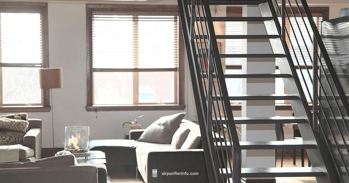 Washable Filters 2026 - Air Purifier Info