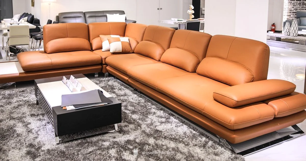 Top Best Air Purifier Top Best Air Purifier - Air Purifier Info