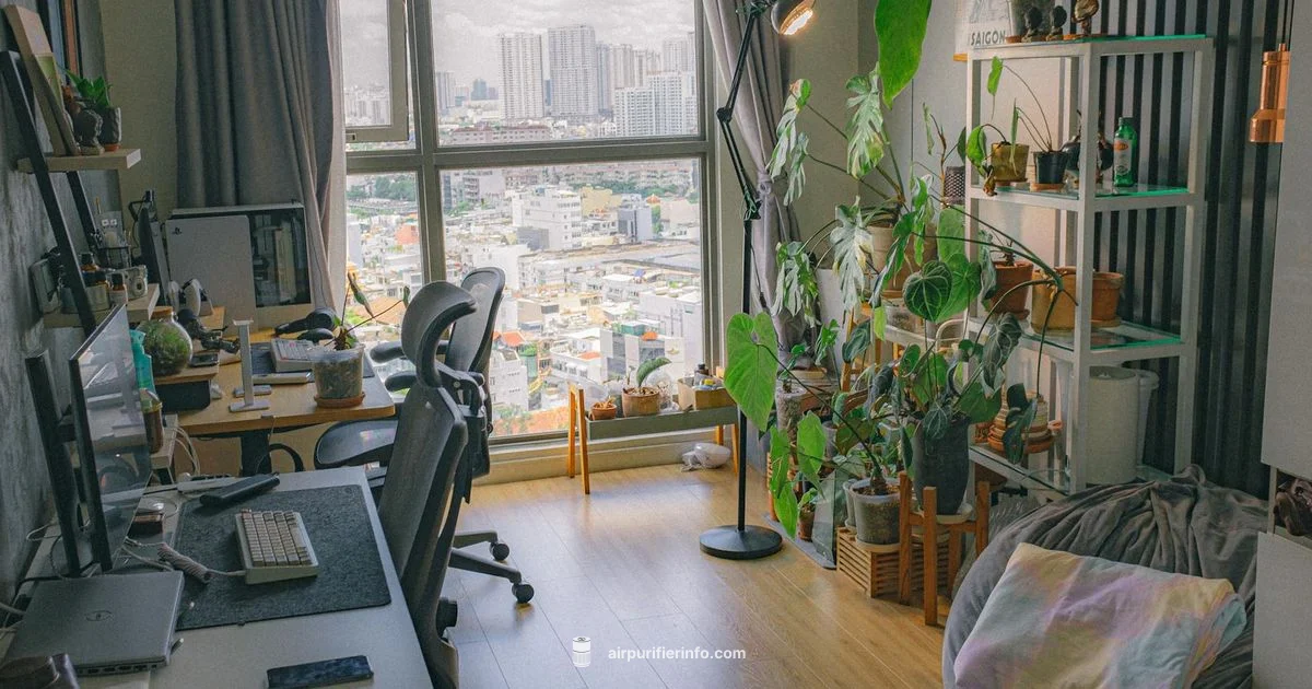 Pro Breeze Overview - Air Purifier Info