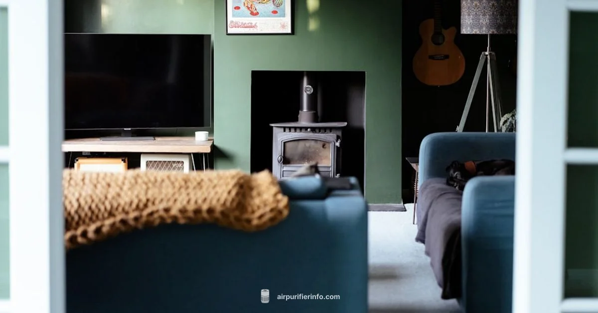 Pet Air Filter Guide - Air Purifier Info