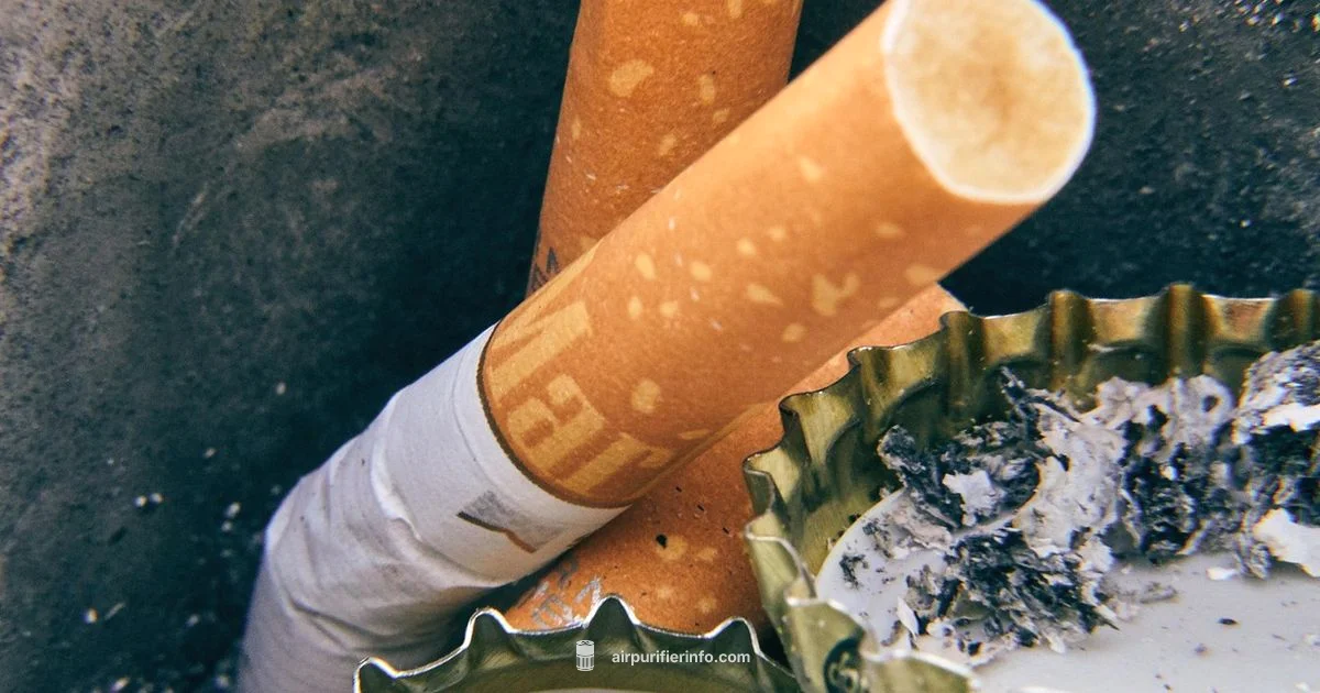 Filter Disposal - Air Purifier Info