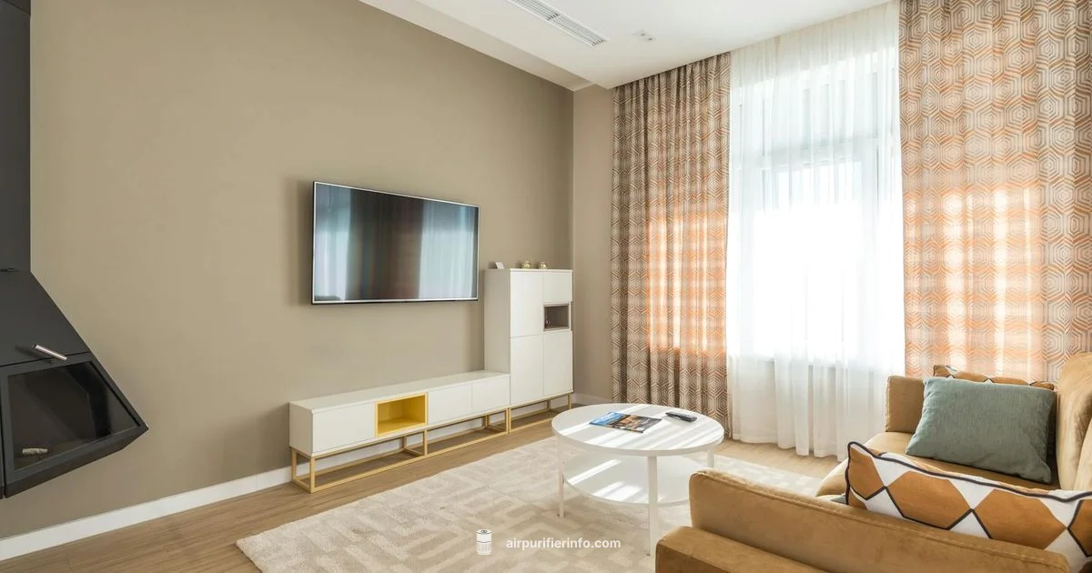 Clean Air at Home - Air Purifier Info