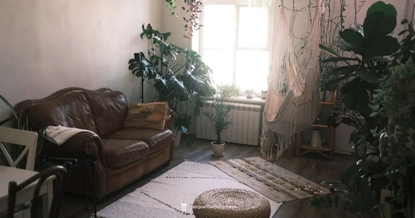 Mold-Safe Living Room - Air Purifier Info