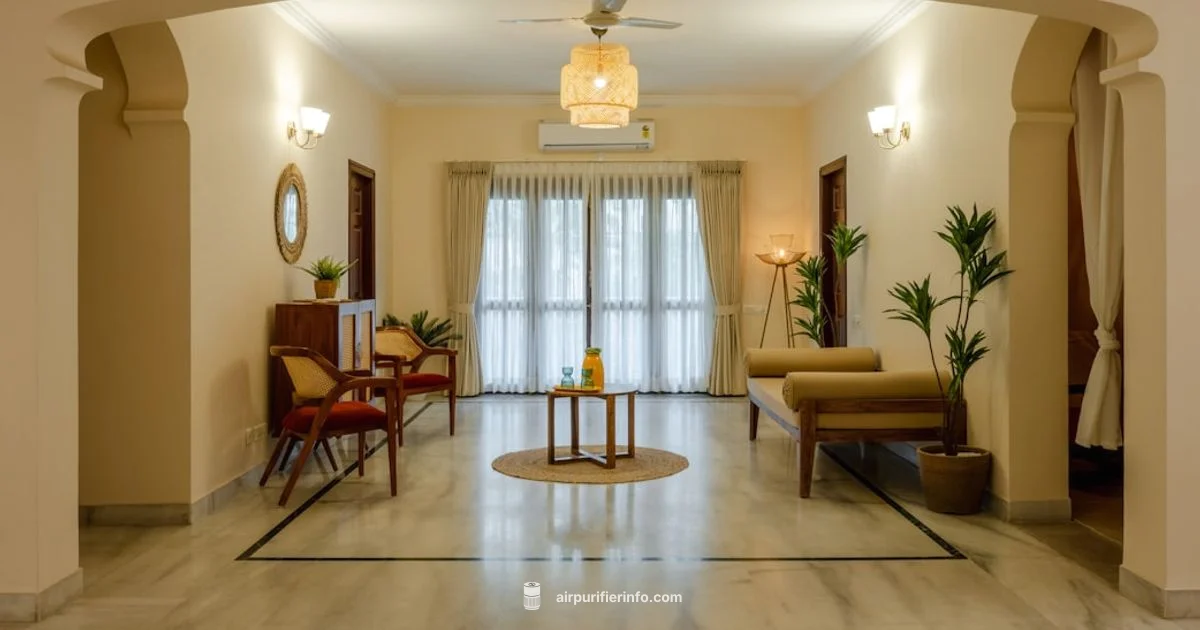 Rabbit vs Dyson - Air Purifier Info