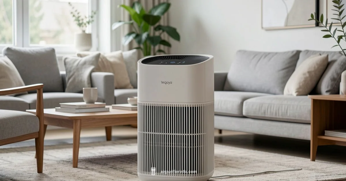 Teqoya Purifier Guide - Air Purifier Info