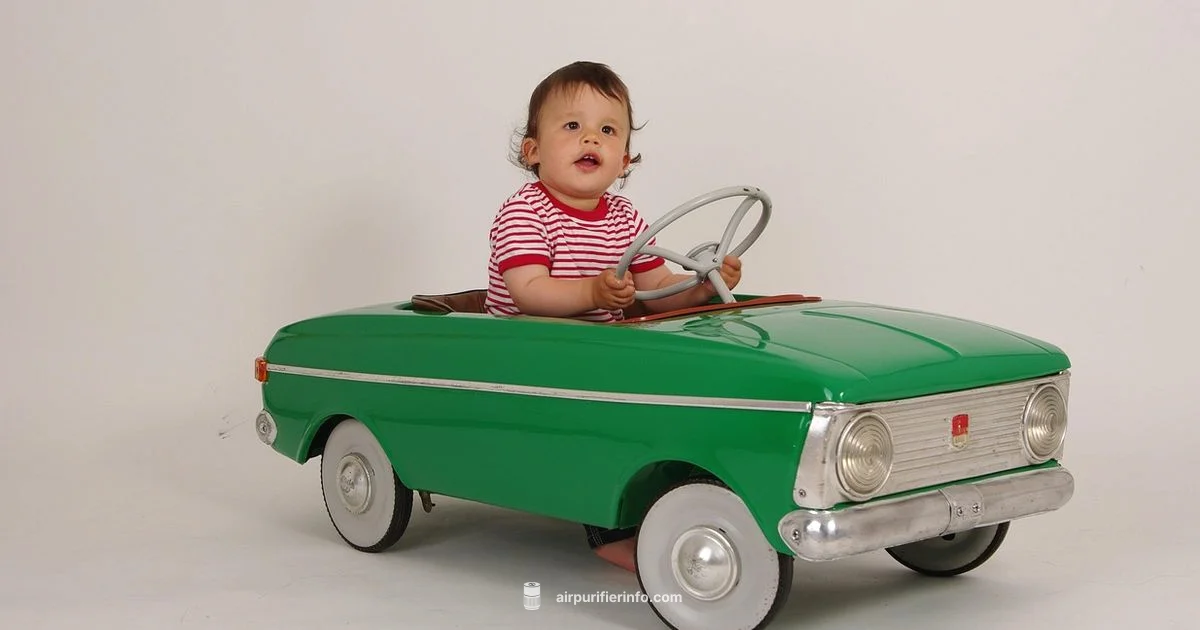 In Cabin Purifier - Air Purifier Info