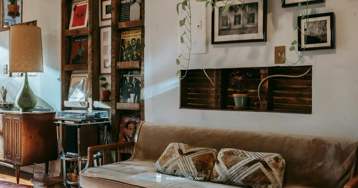 Air Quality Showdown - Air Purifier Info