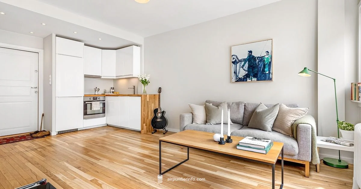 HEPA Certified Purifier HEPA Certified Purifier - Air Purifier Info