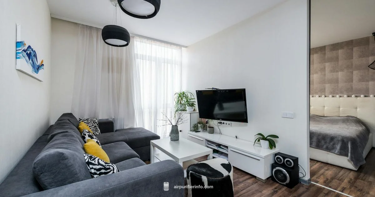 Covid Air Purifier Guide - Air Purifier Info