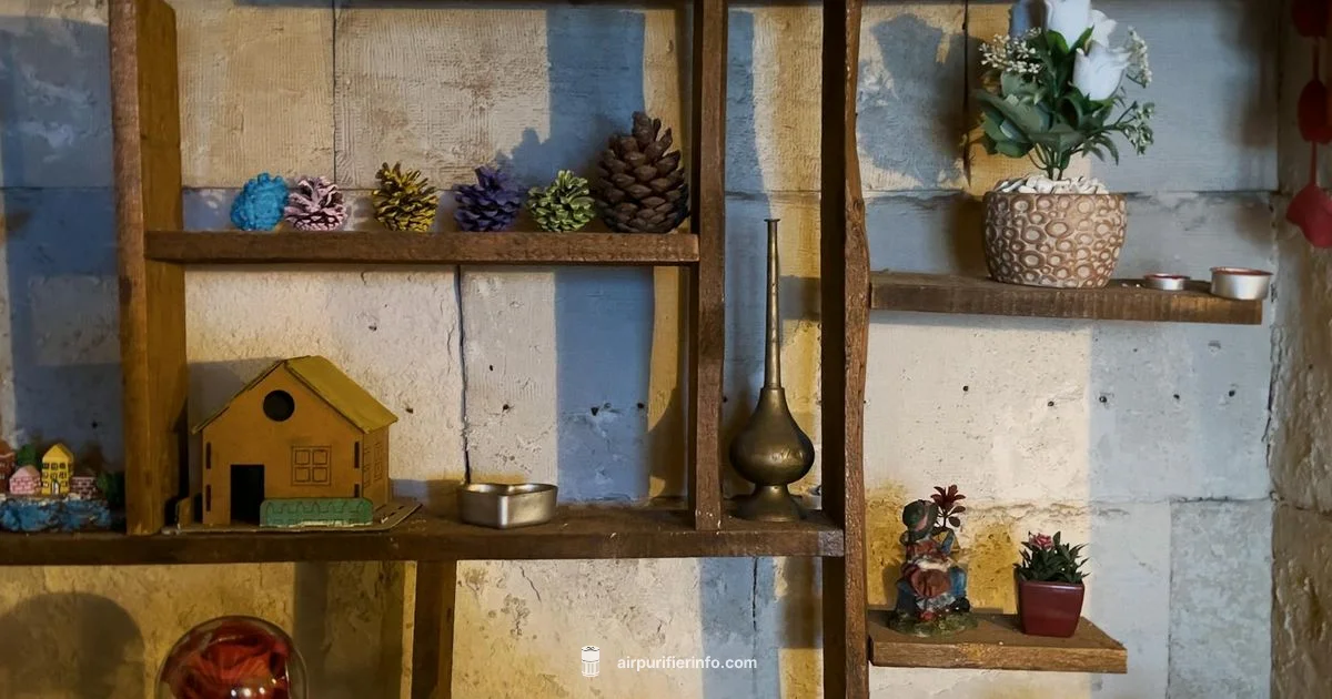 Air Purifier Basics - Air Purifier Info