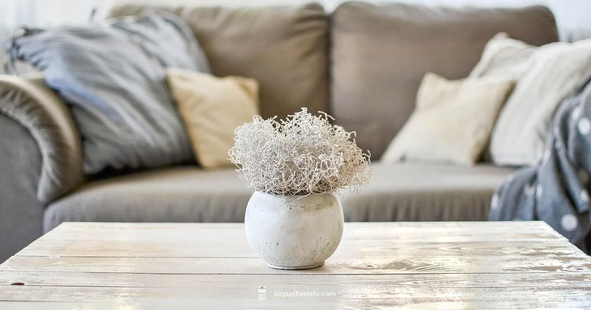 Purifier Spotlight - Air Purifier Info