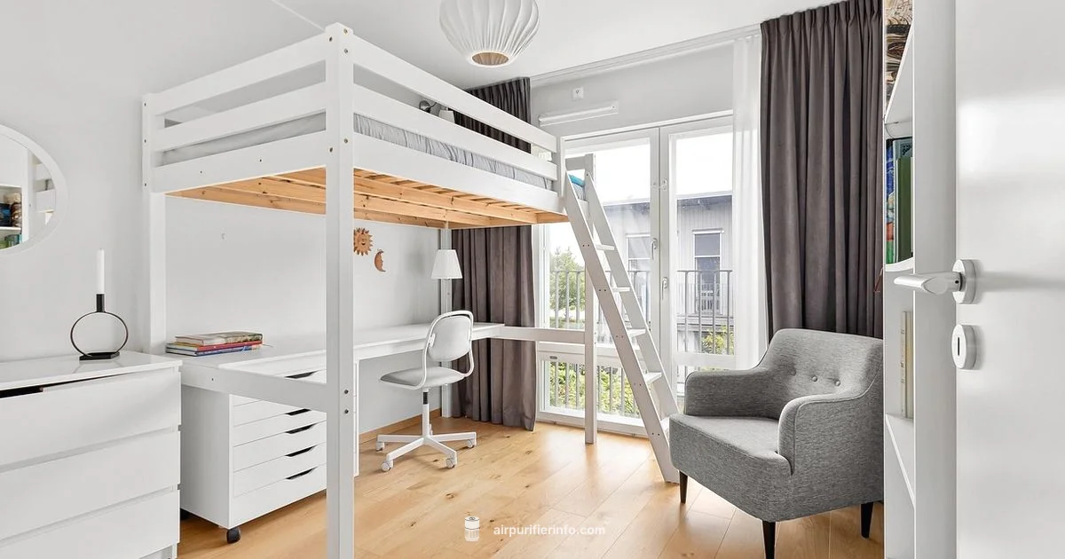 Skin-Smart Air - Air Purifier Info