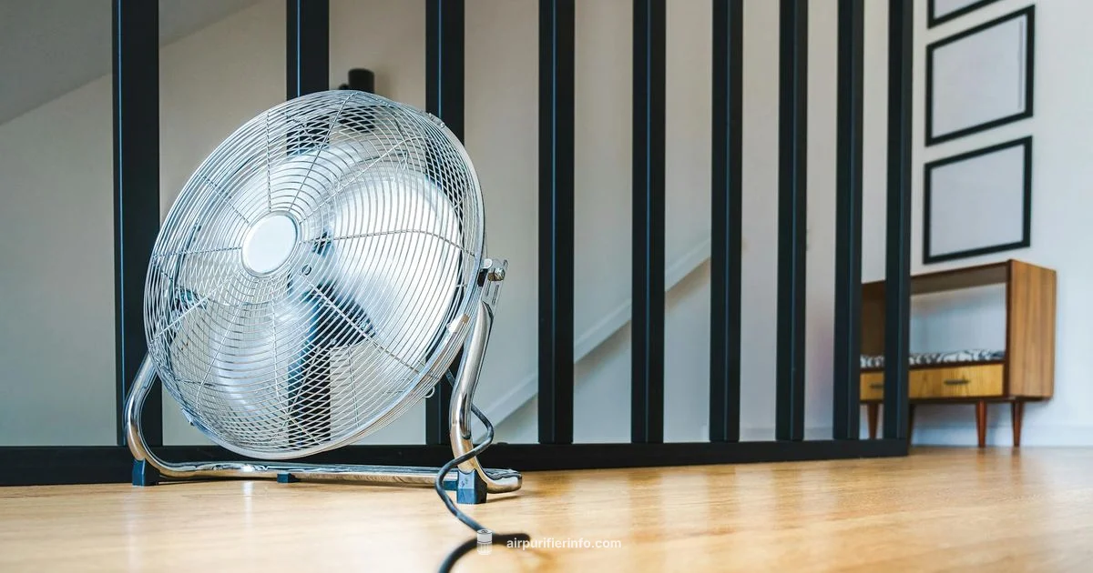 Dyson Climate Duo - Air Purifier Info