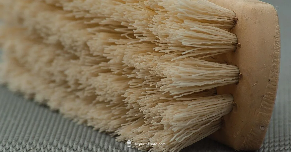 Maintenance Cadence Maintenance Cadence - Air Purifier Info