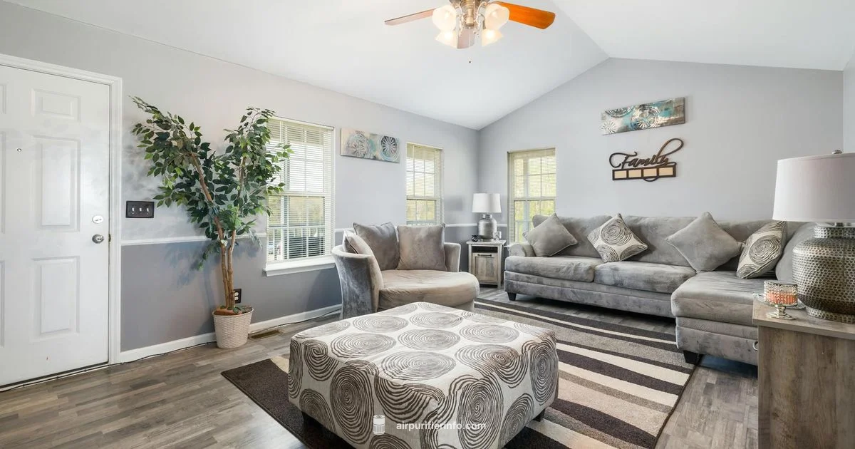 Dyson Home Purifier - Air Purifier Info