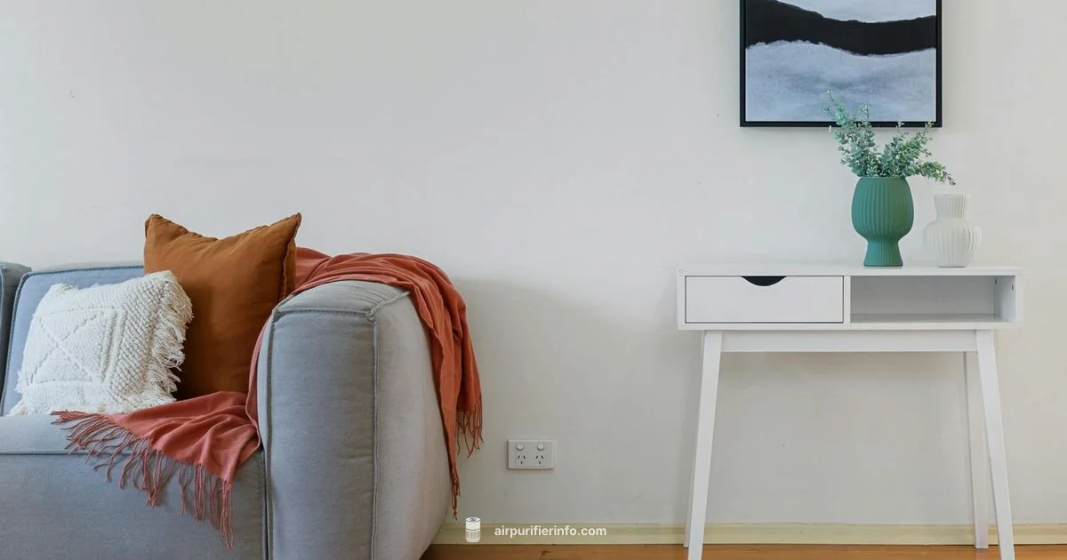Quiet purifier for small spaces - Air Purifier Info