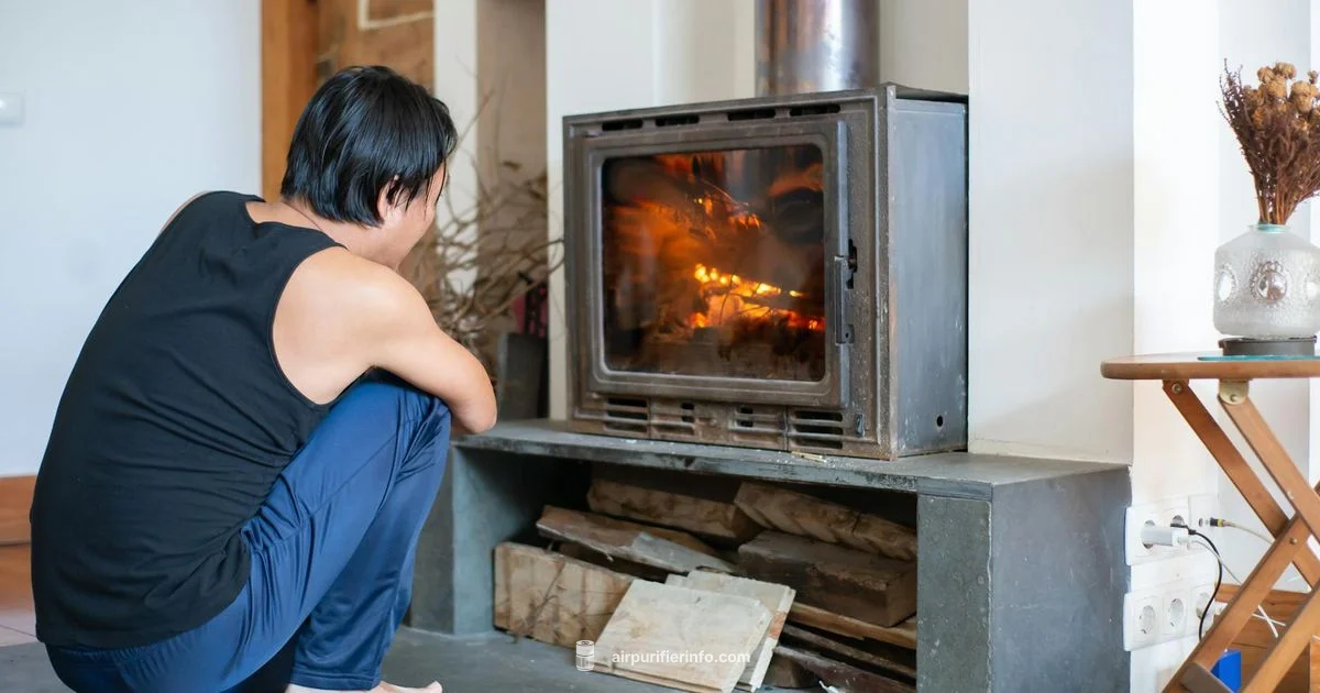 Dyson Heat Review - Air Purifier Info