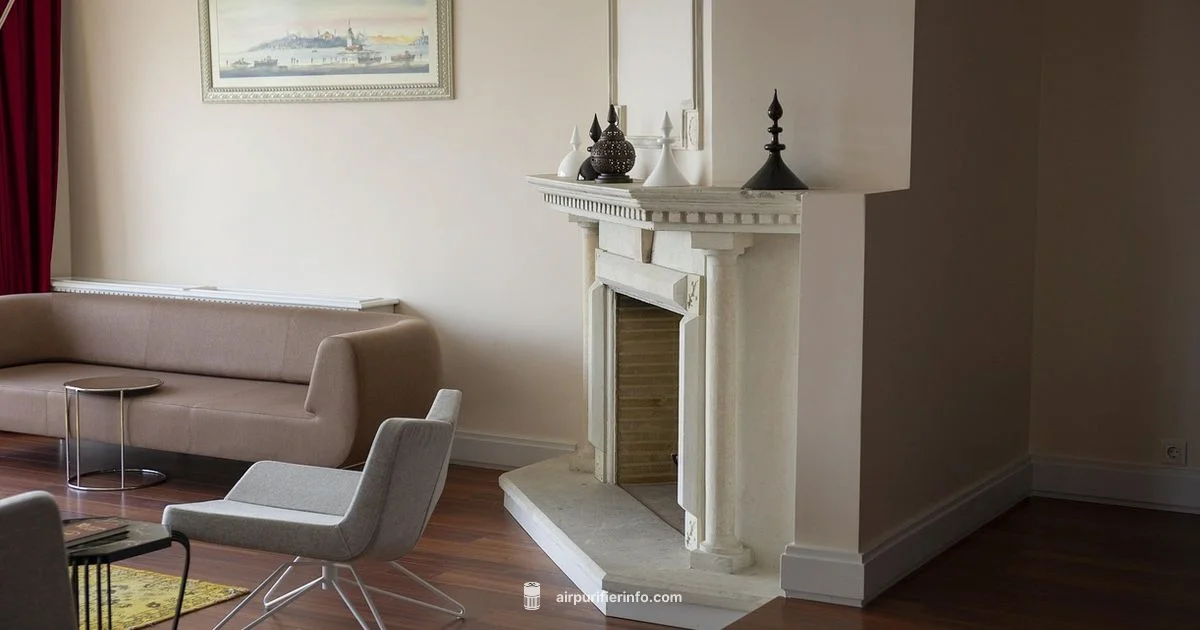 Quiet by Design Quiet by Design - Air Purifier Info