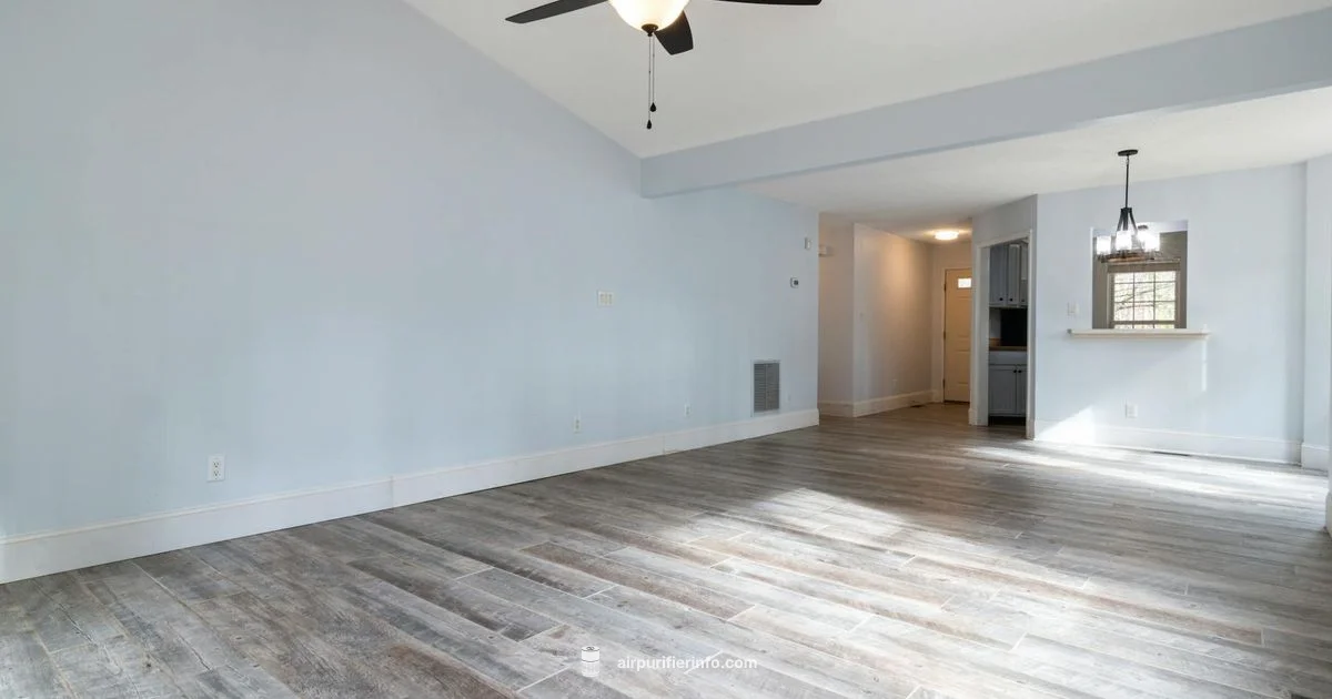 HEPA Fan Guide - Air Purifier Info