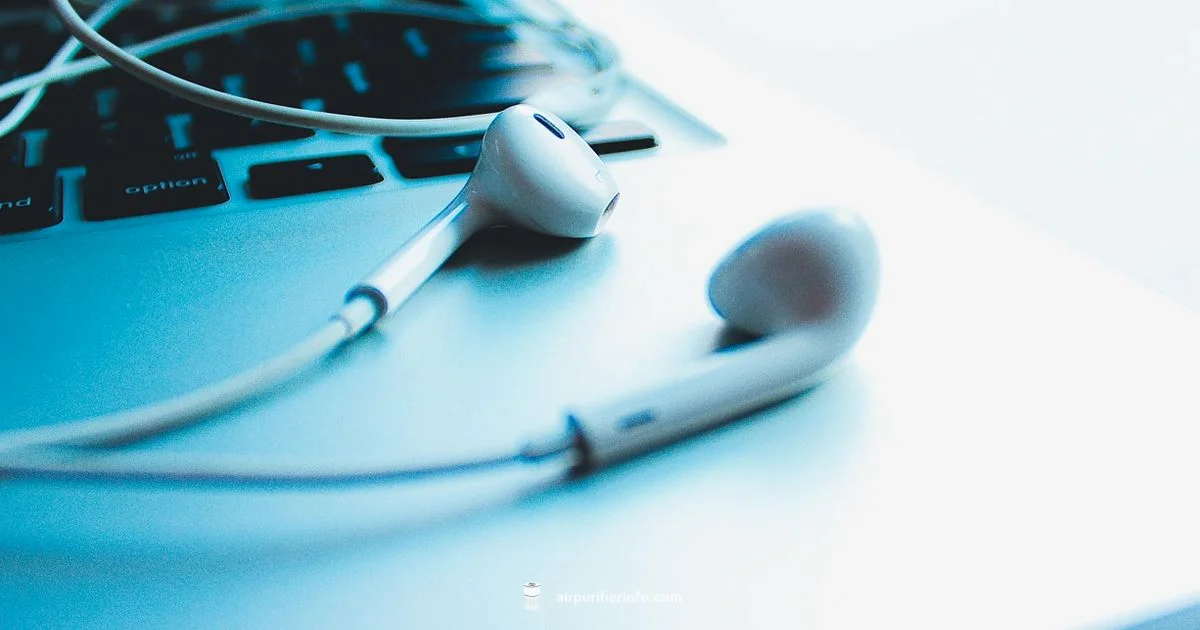 Dyson Headphones Guide - Air Purifier Info