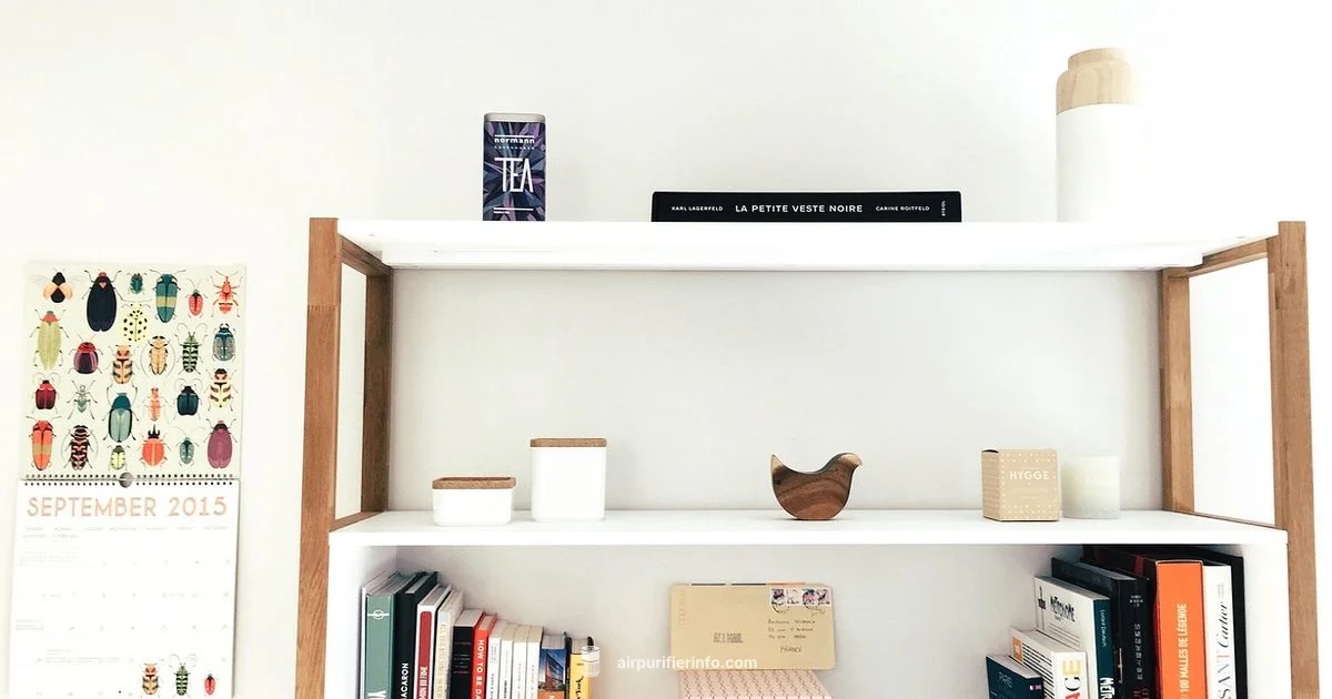 Cleaner Indoor Air - Air Purifier Info