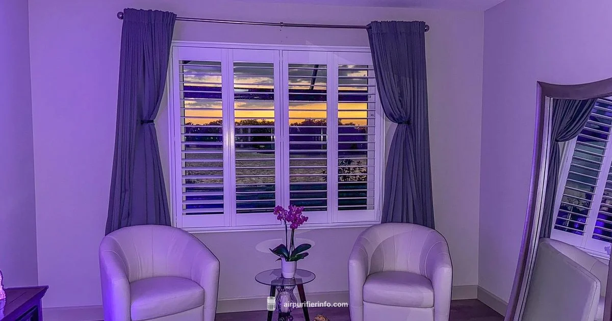 Keep Filters Clean - Air Purifier Info