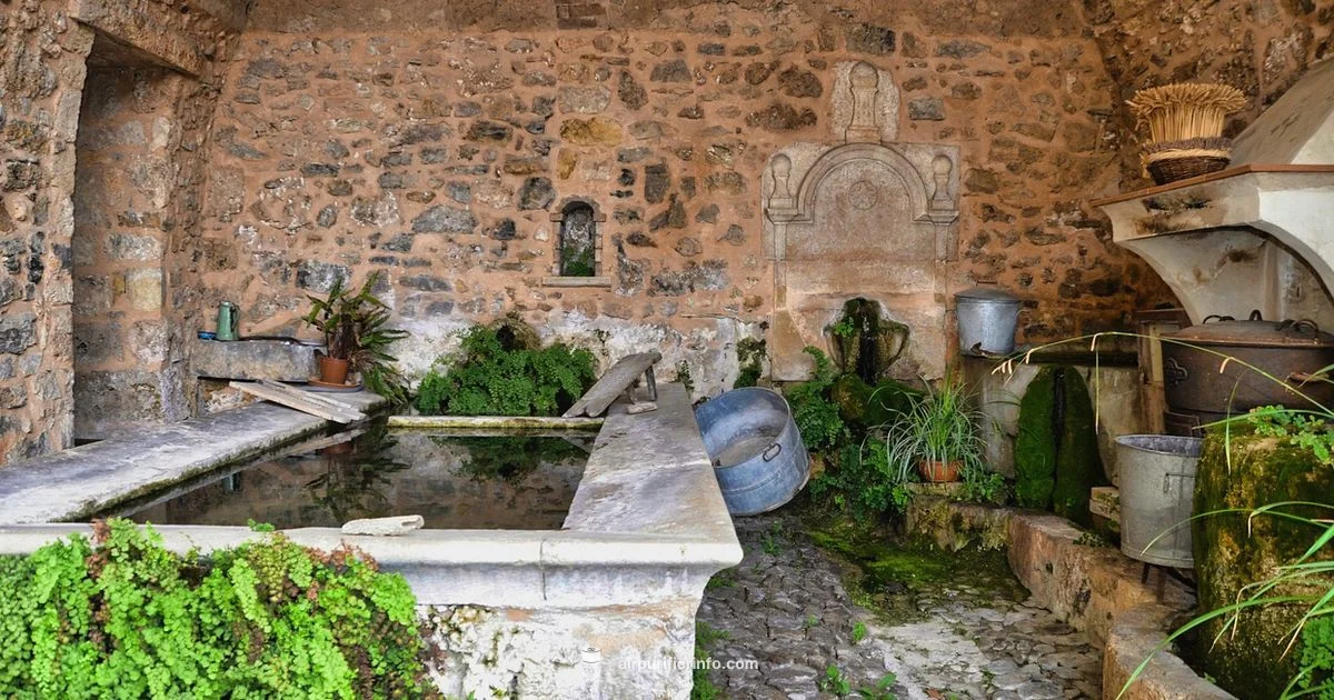 Basement Purifier Guide - Air Purifier Info