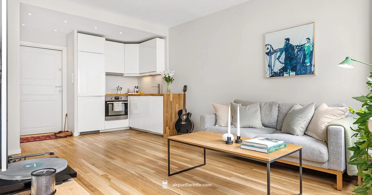 HEPA for Home - Air Purifier Info