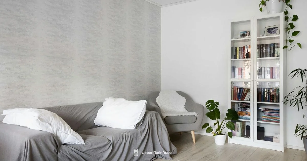 Blueair 221 Review - Air Purifier Info