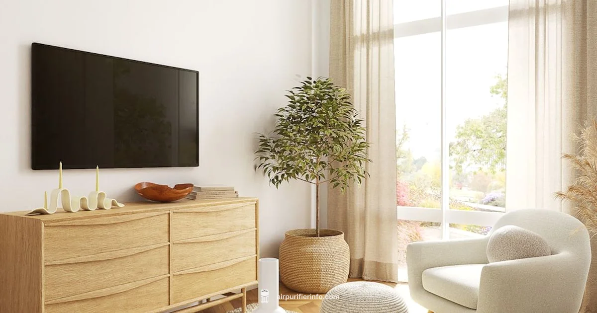 Air Purifier Guide - Air Purifier Info