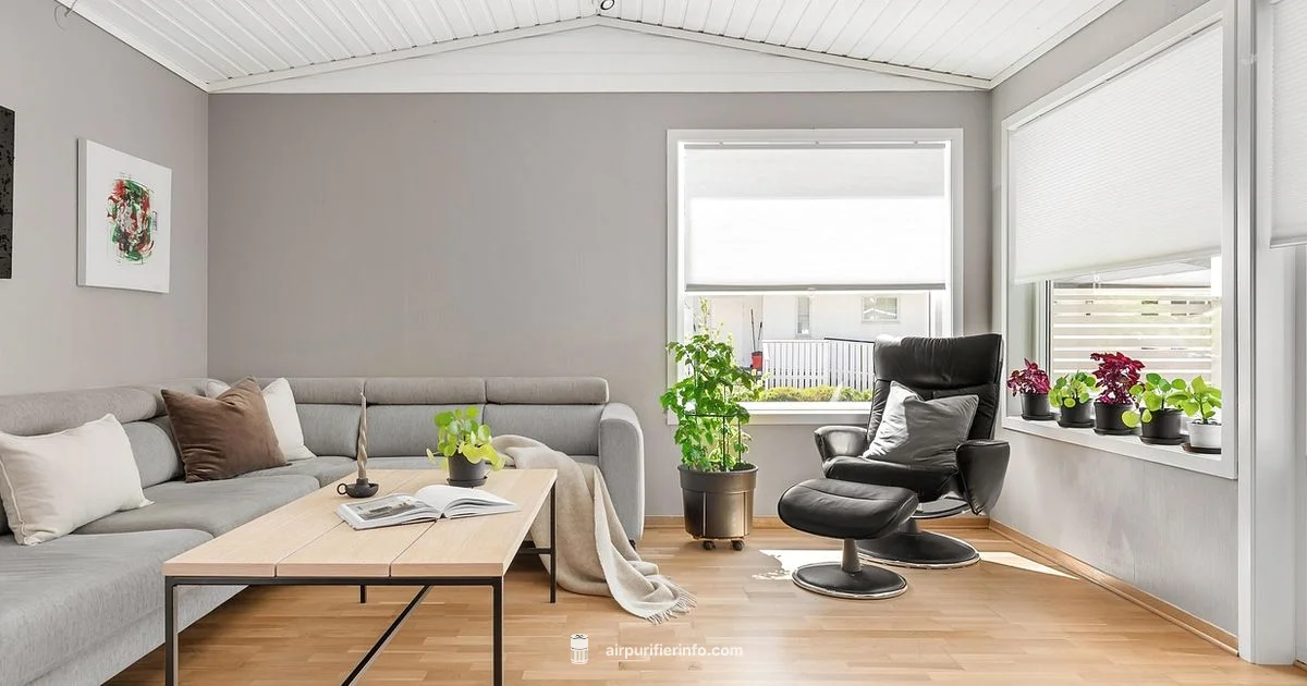 Air Purifier Advantages - Air Purifier Info