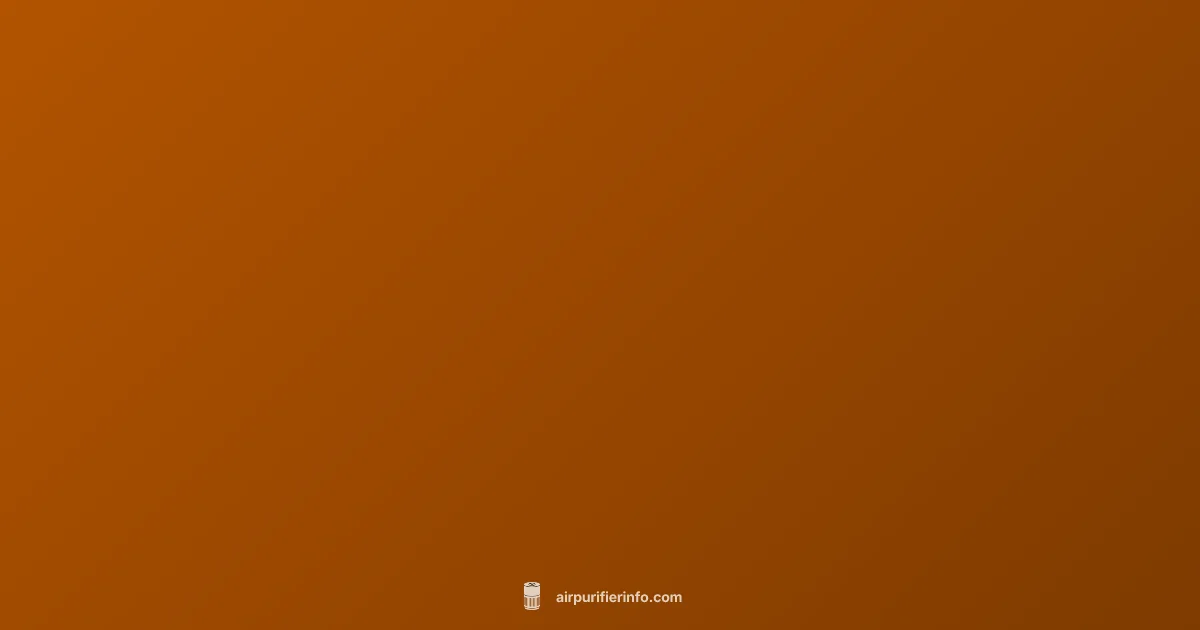 Air Purifier Setup - Air Purifier Info (illustration)