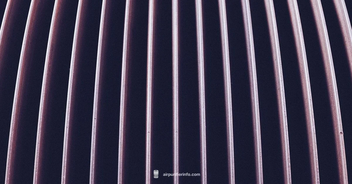 Purifier Motion Visuals Purifier Motion Visuals - Air Purifier Info