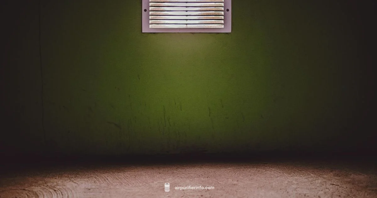 Central Air Filter Essentials Central Air Filter Essentials - Air Purifier Info