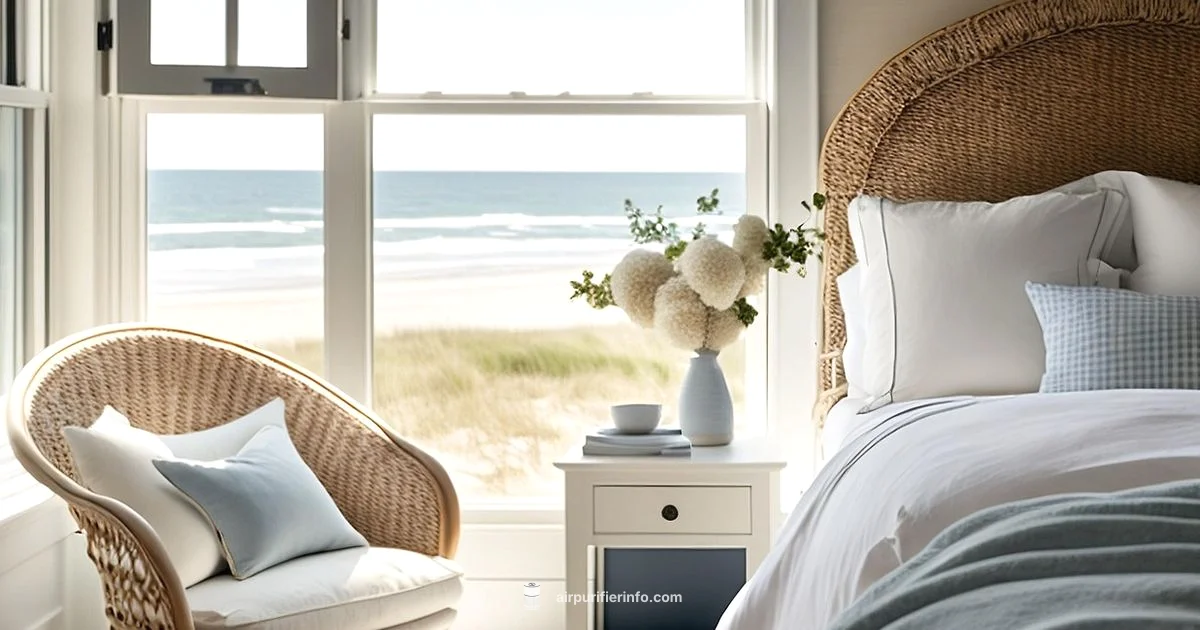 Small Space, Clean Air - Air Purifier Info