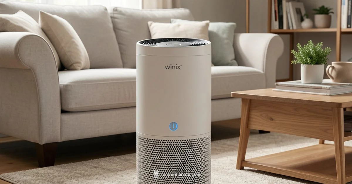 C610 Filter Guide - Air Purifier Info