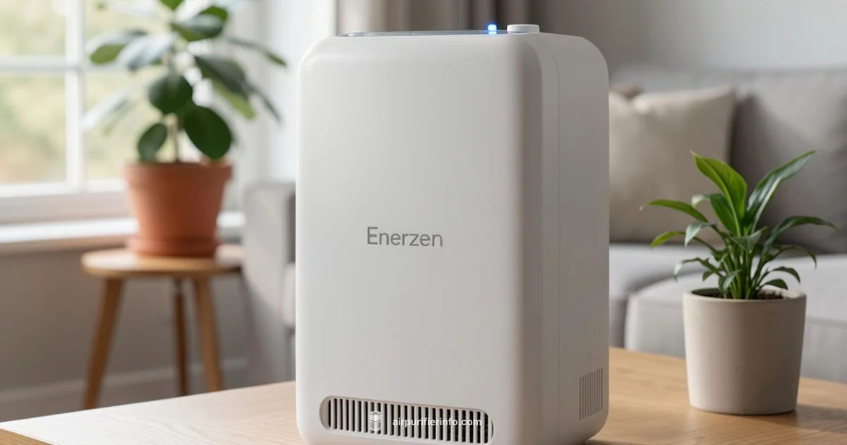 Enerzen Ozone Basics - Air Purifier Info