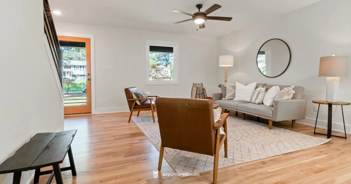 Dyson Room Fan Guide - Air Purifier Info