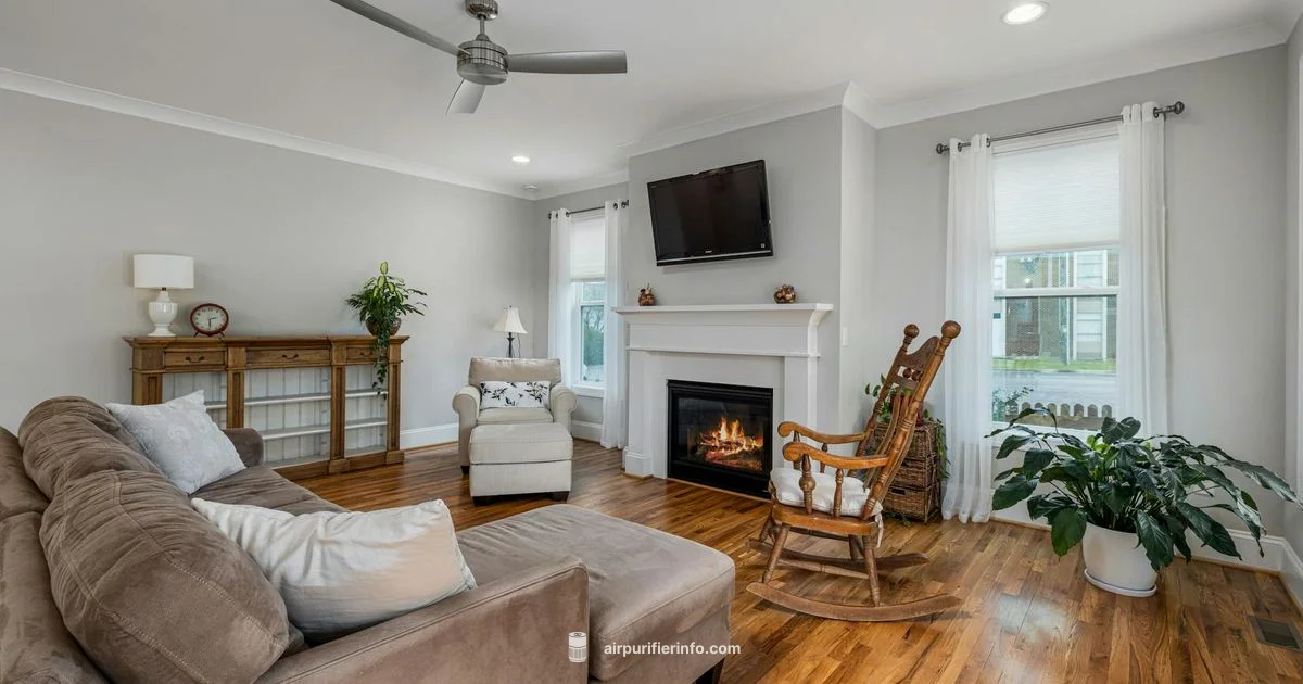 Lasko Air Purifier - Air Purifier Info