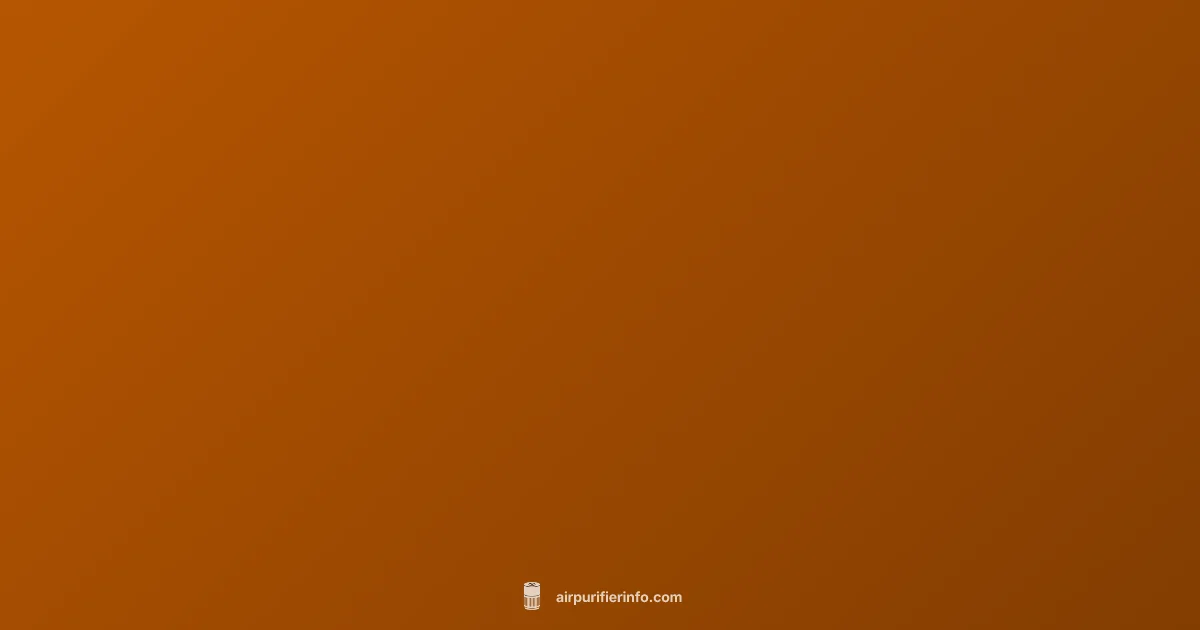 Washable HEPA Guide - Air Purifier Info (illustration)