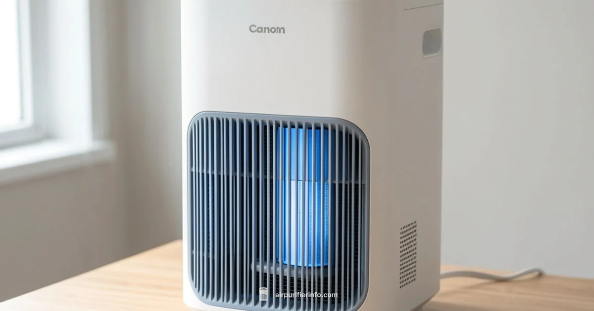 Washable HEPA Guide - Air Purifier Info
