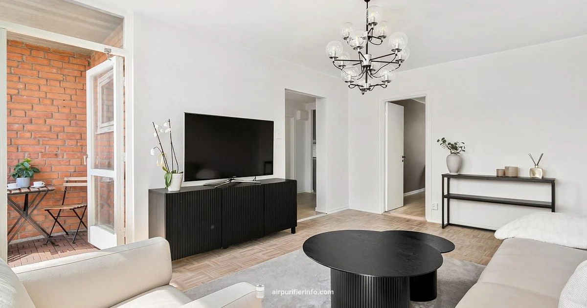 Air Purifier LA Picks - Air Purifier Info