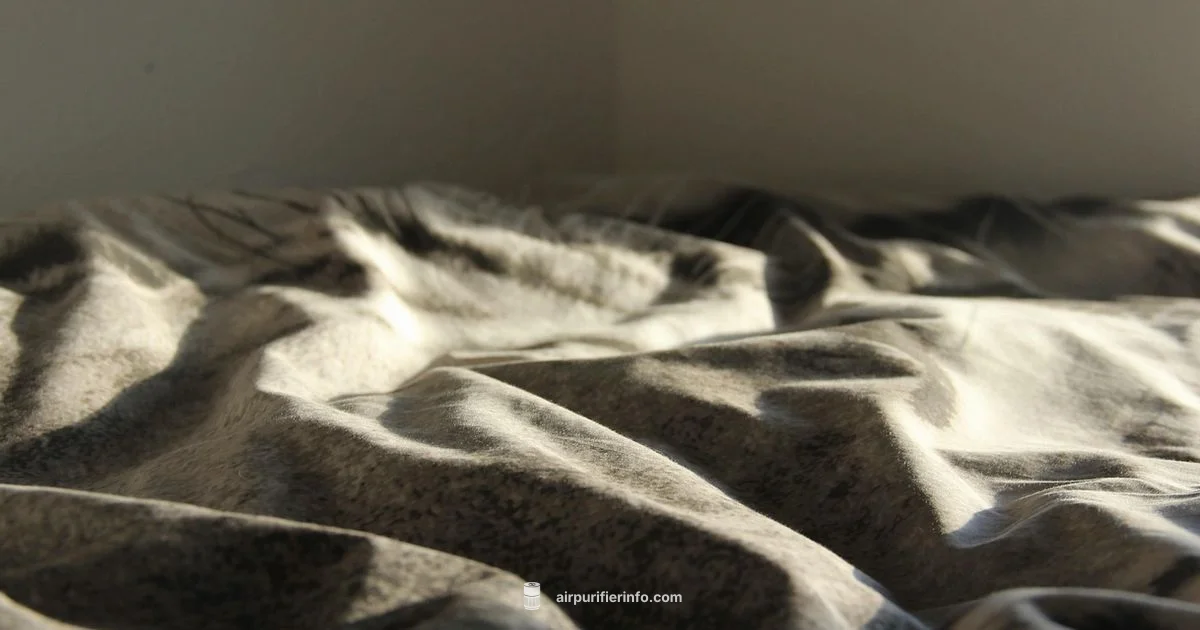 Quiet Bedroom Air Purifier - Air Purifier Info