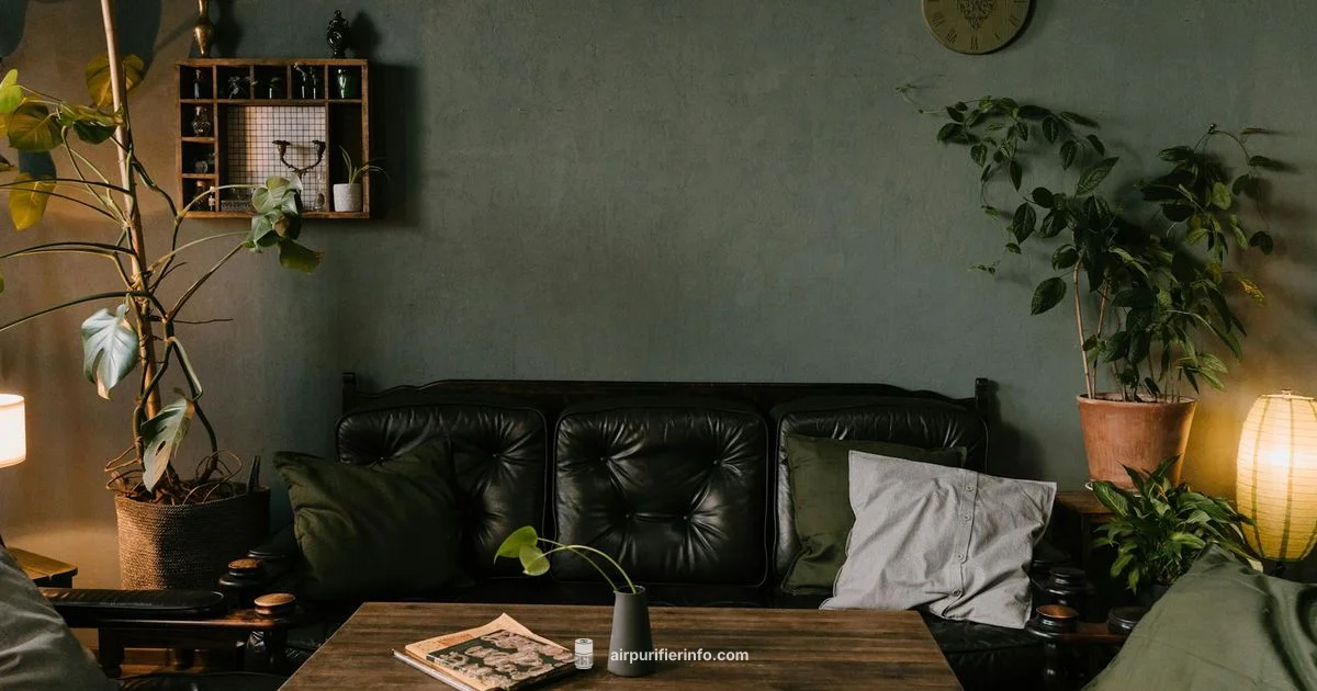 Most Common Filter Sizes - Air Purifier Info