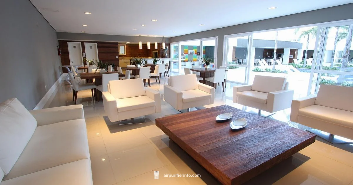 Home Ionizers Guide Home Ionizers Guide - Air Purifier Info