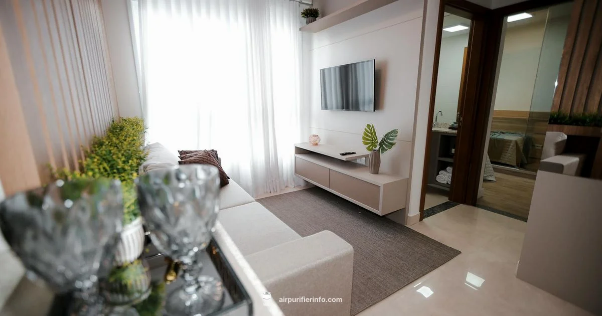 Popular Air Purifier Picks - Air Purifier Info