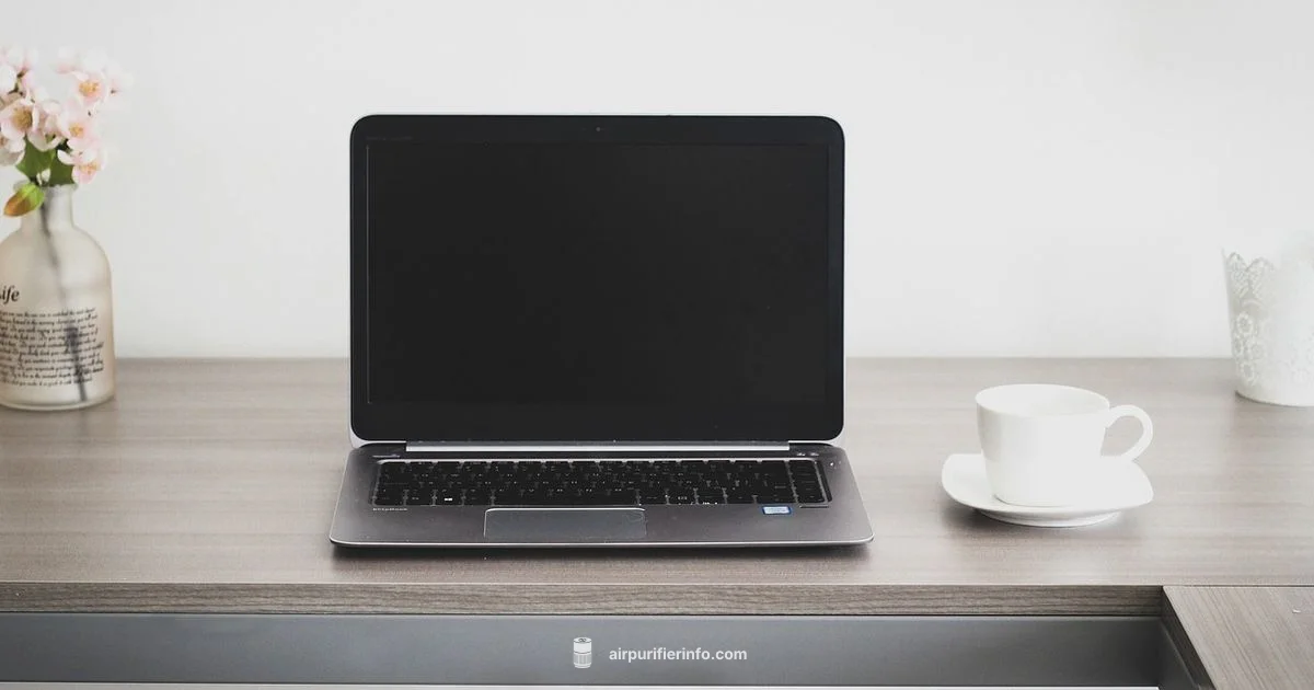 Veva 9000 Guide - Air Purifier Info