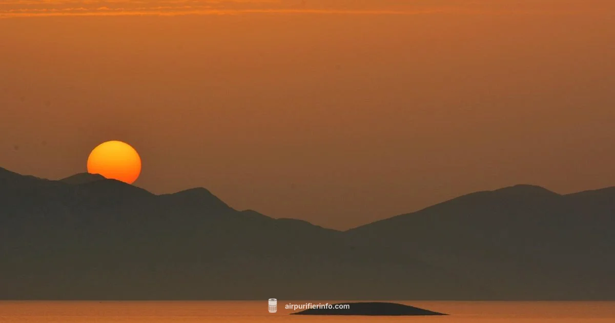 Basement Purifier Picks Basement Purifier Picks - Air Purifier Info