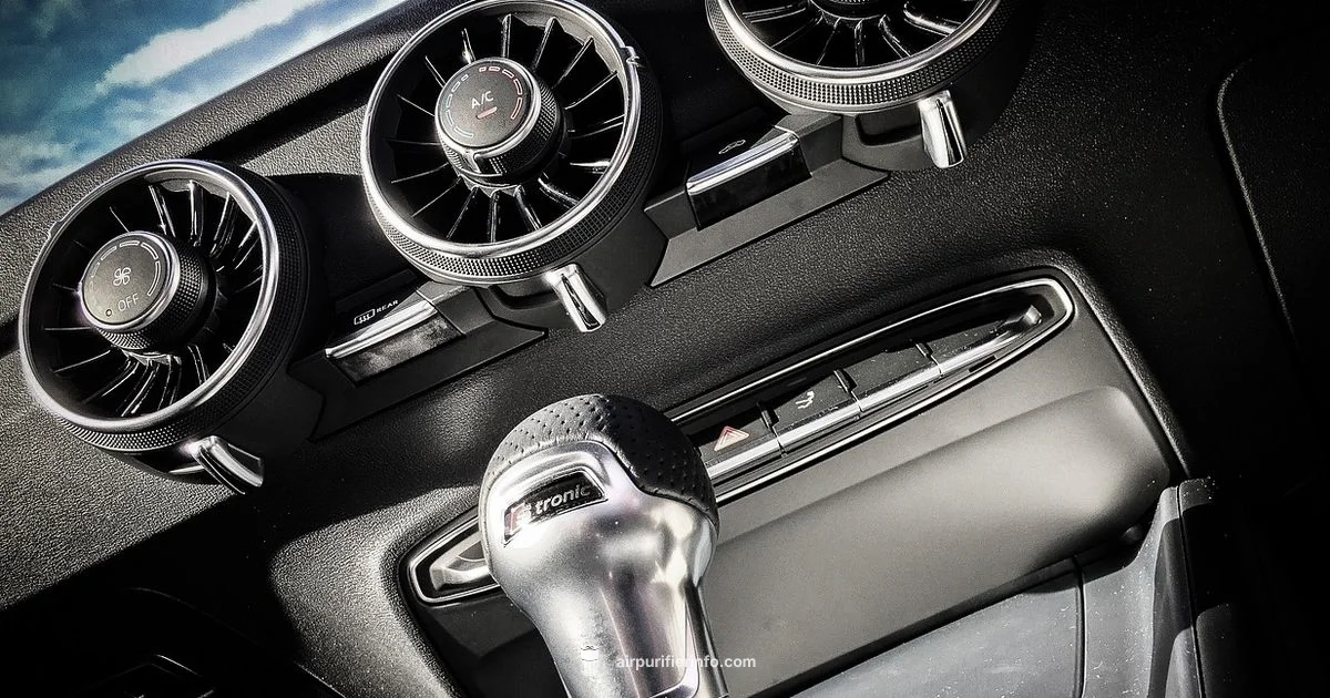 Car Cabin Purifier - Air Purifier Info