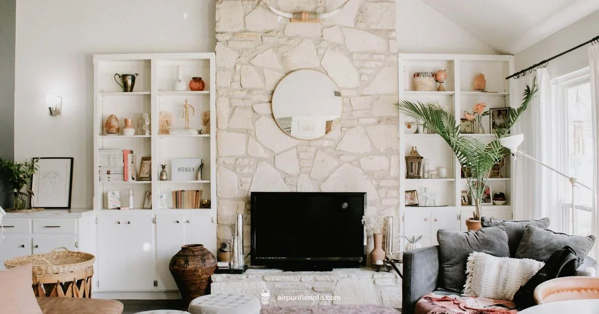 Austin Air Purifier Guide Austin Air Purifier Guide - Air Purifier Info